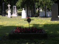 Közép-11 Vidéky Jánosné